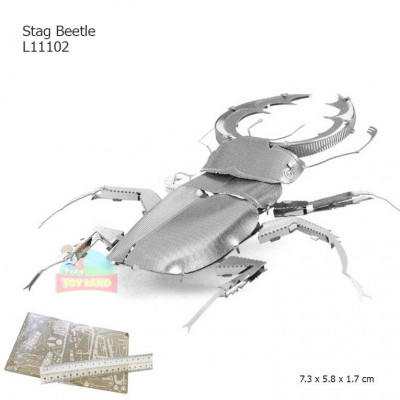 L11102 Stag Beetle